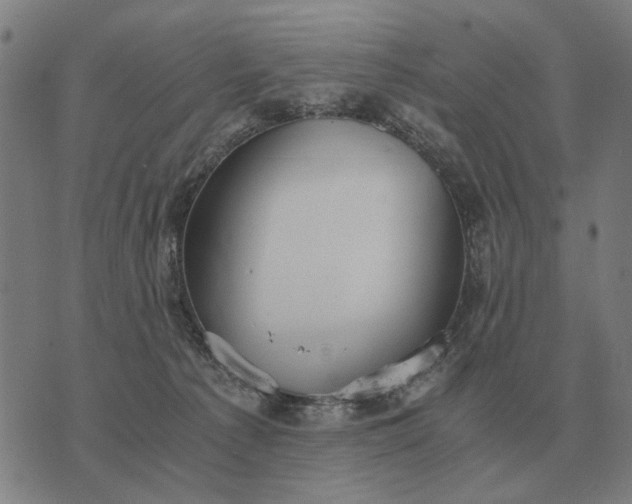 X0000076090225200610061649