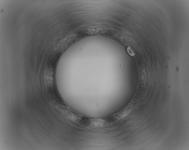 X0000076090226200610061649