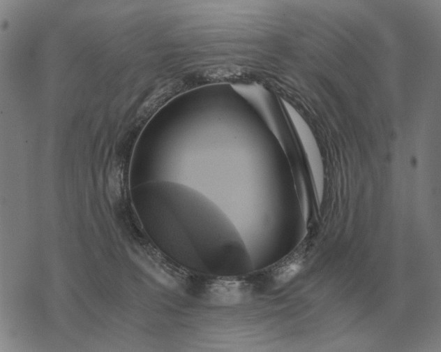 X0000076090227200610061649