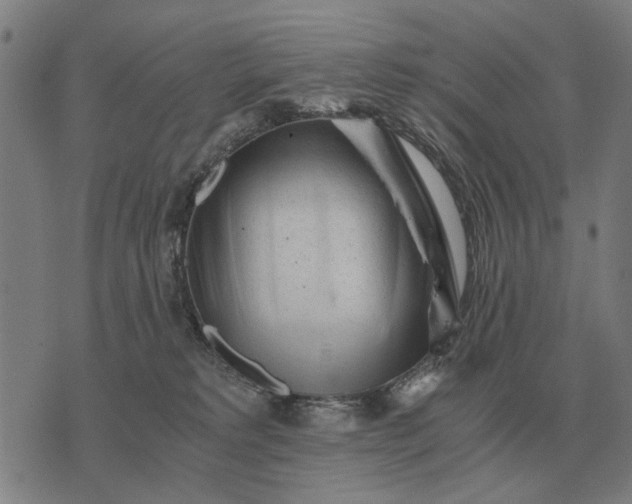 X0000076090229200610061649