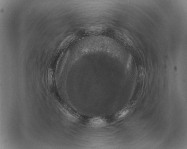 X0000076090231200610061649