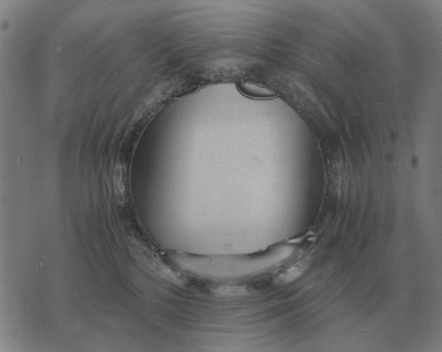 X0000076090232200610061649