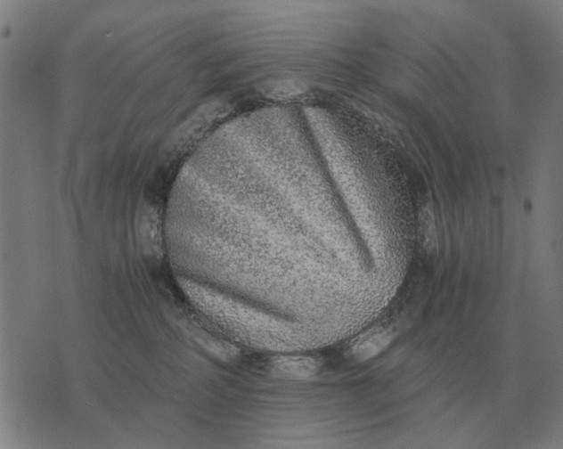 X0000076090234200610061649