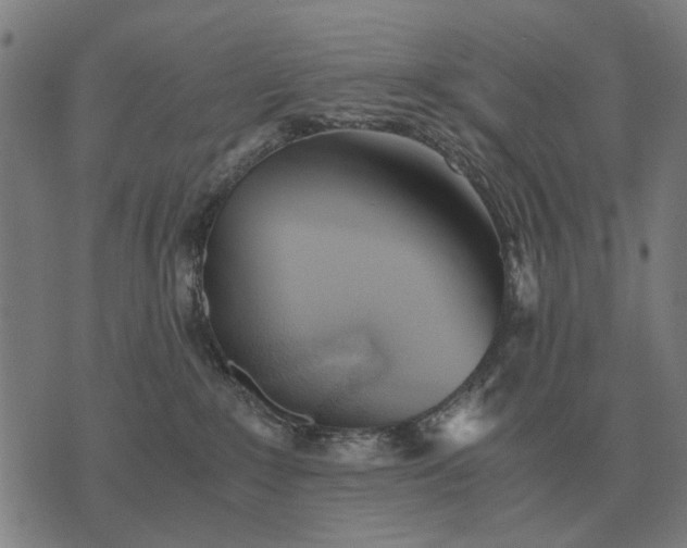 X0000076090235200610061649