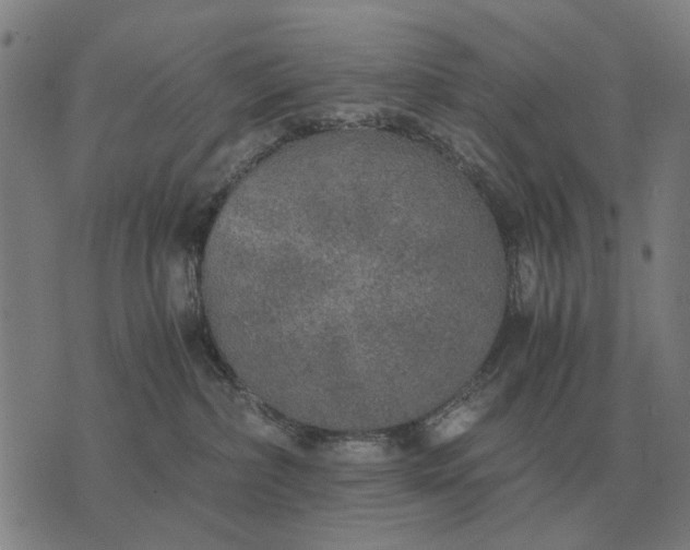 X0000076090236200610061649