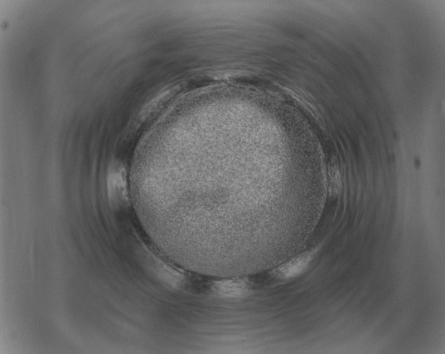 X0000076090238200610061649