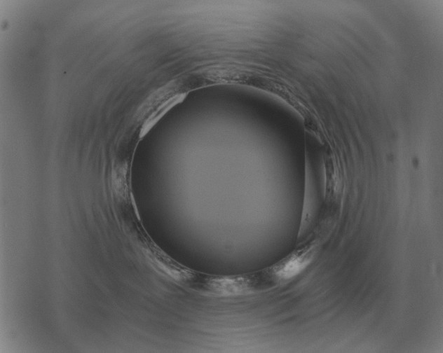 X0000076090239200610061649