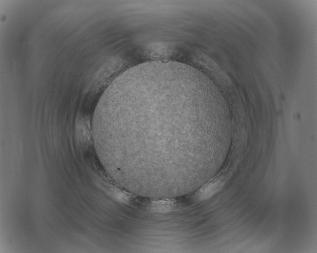 X0000076090240200610061649