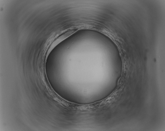 X0000076090241200610061648