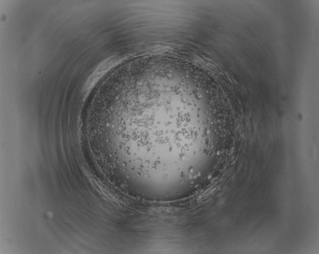 X0000076090242200610061648