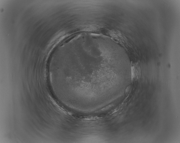 X0000076090243200610061648