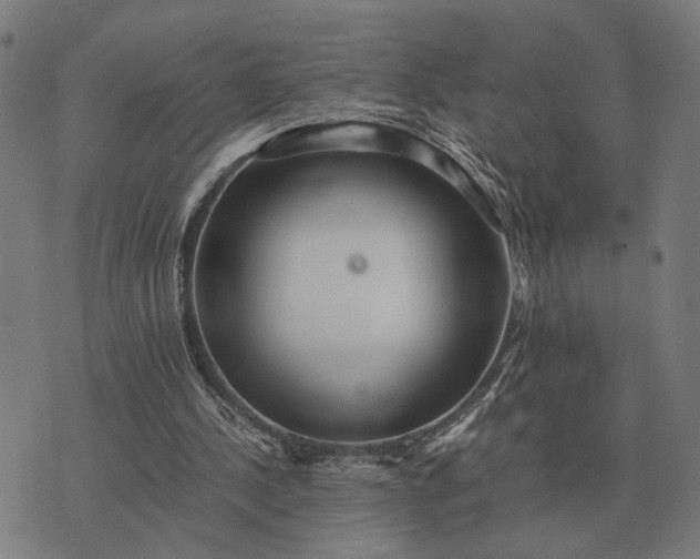 X0000076090244200610061648