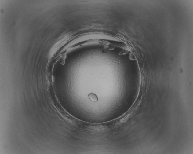 X0000076090245200610061648