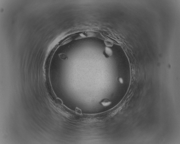 X0000076090246200610061648