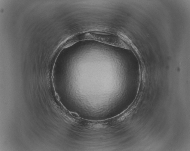 X0000076090249200610061648