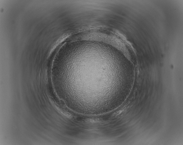 X0000076090250200610061648