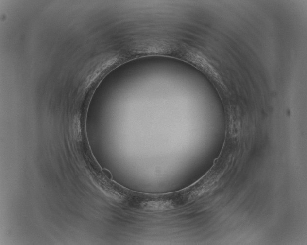 X0000076090251200610061648