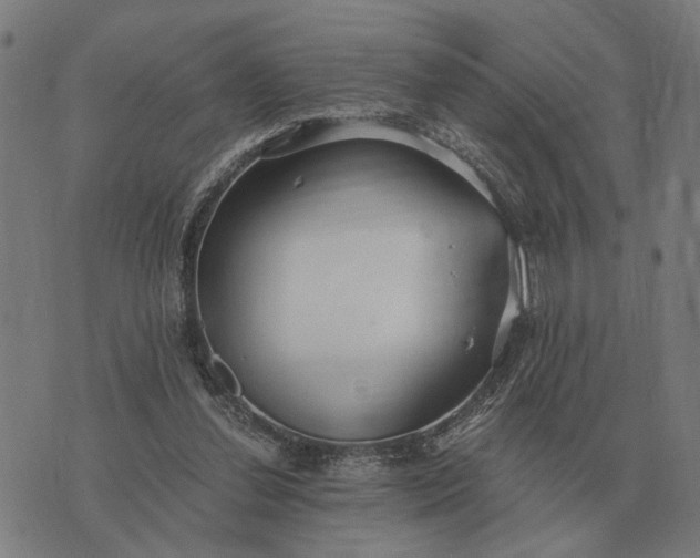 X0000076090252200610061648