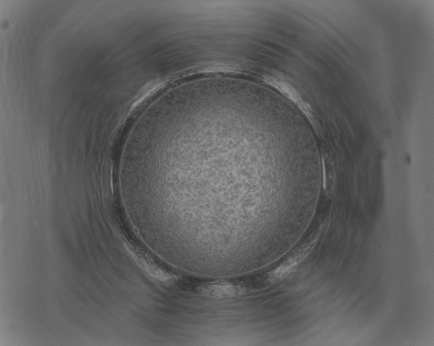 X0000076090253200610061648