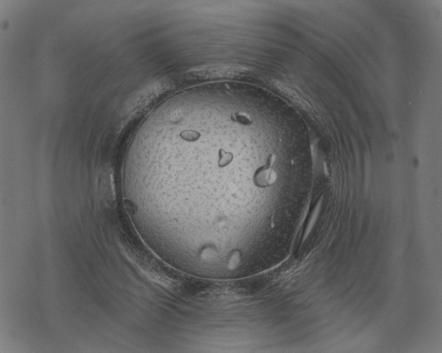 X0000076090254200610061648