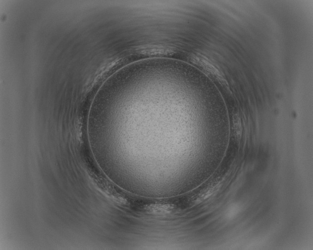 X0000076090255200610061648