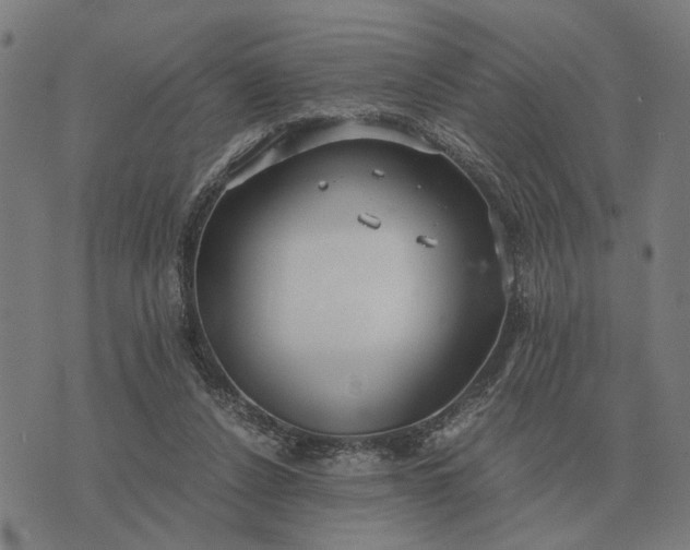 X0000076090256200610061648