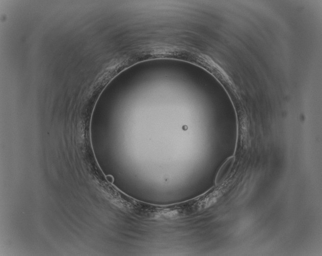 X0000076090257200610061648