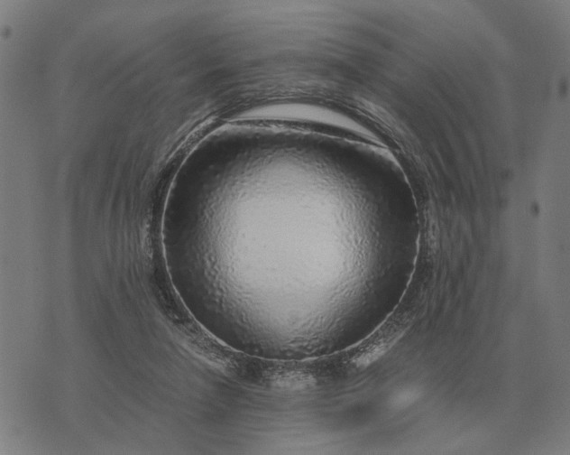 X0000076090258200610061648