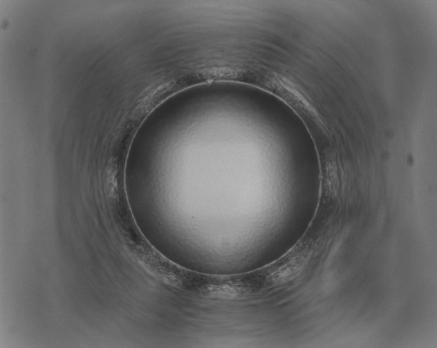 X0000076090259200610061648