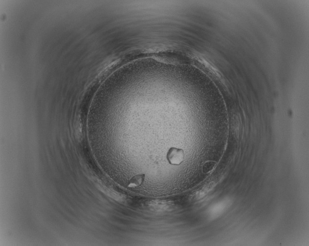 X0000076090261200610061648