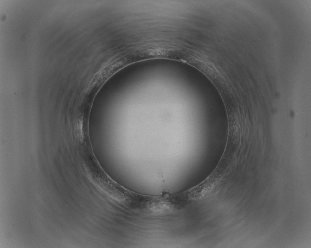 X0000076090262200610061648