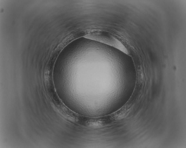 X0000076090263200610061648