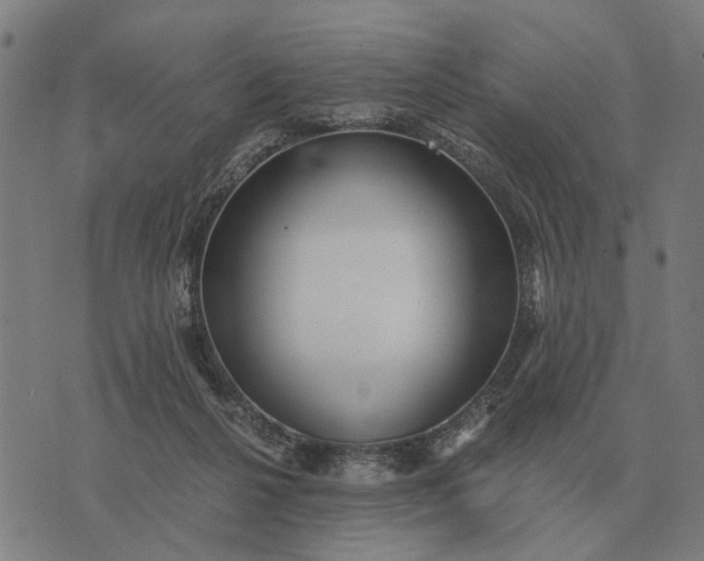 X0000076090264200610061648