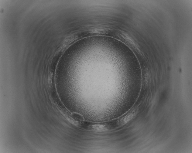 X0000076090265200610061648