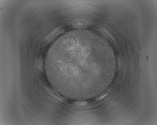 X0000076090266200610061648