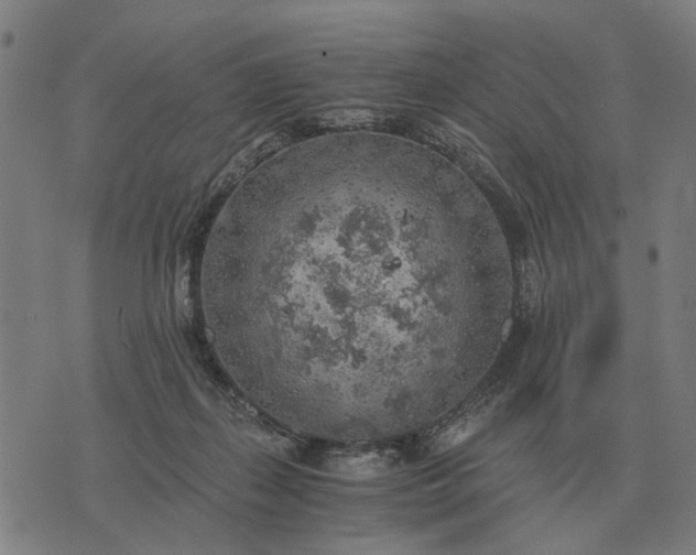 X0000076090267200610061648