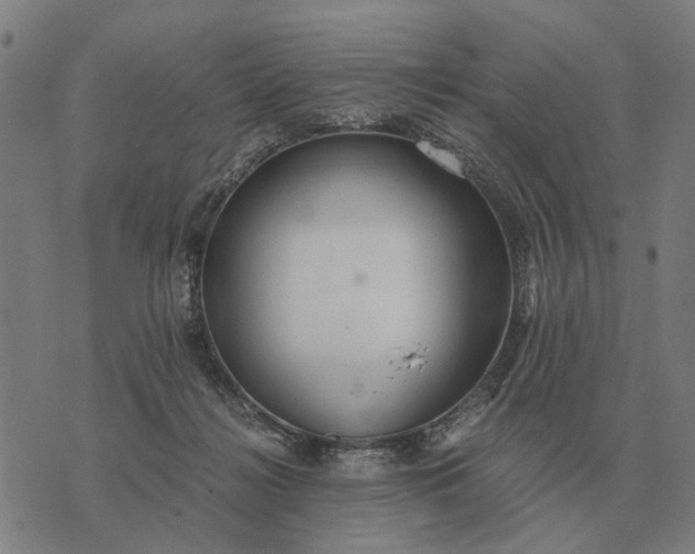 X0000076090268200610061648