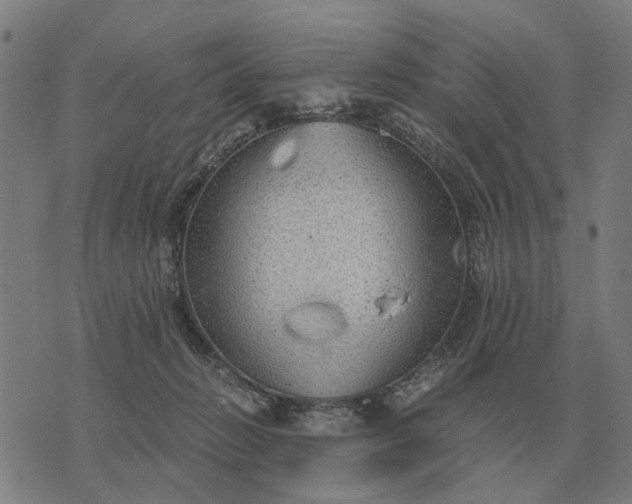 X0000076090270200610061648