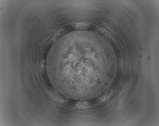 X0000076090271200610061648