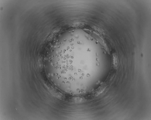 X0000076090272200610061648