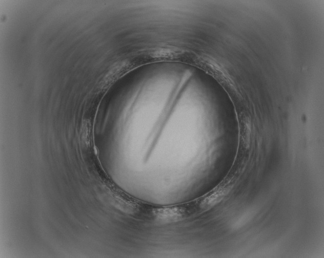 X0000076090273200610061648