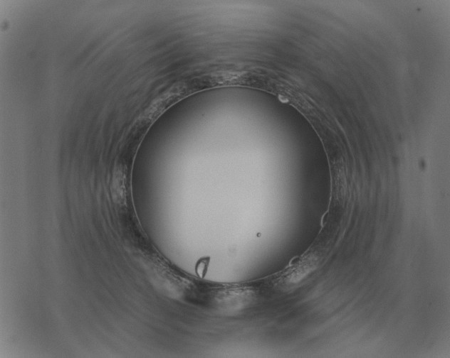 X0000076090274200610061648