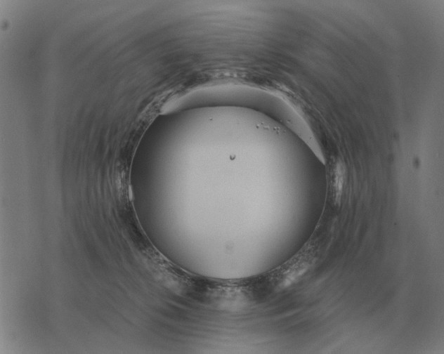 X0000076090276200610061649