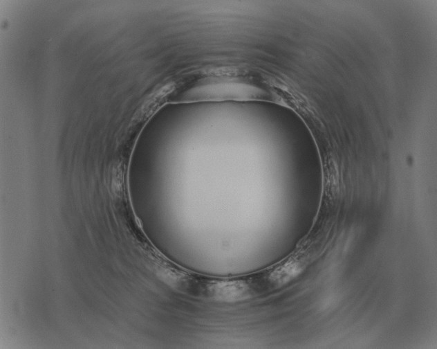 X0000076090277200610061649