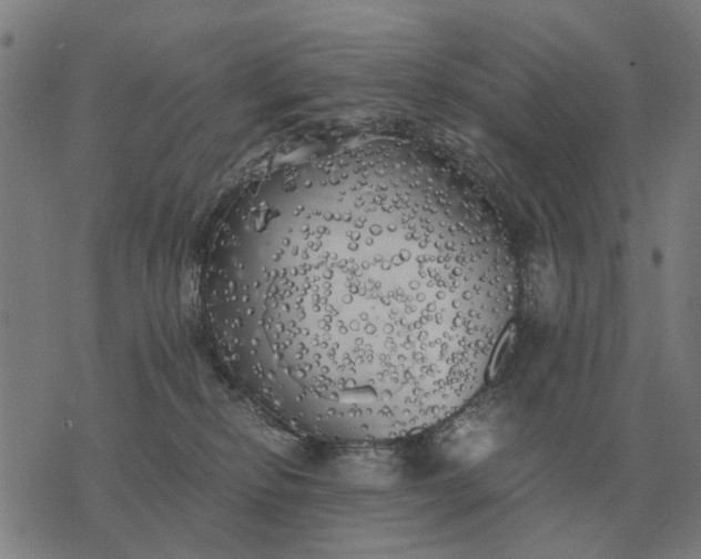 X0000076090278200610061649