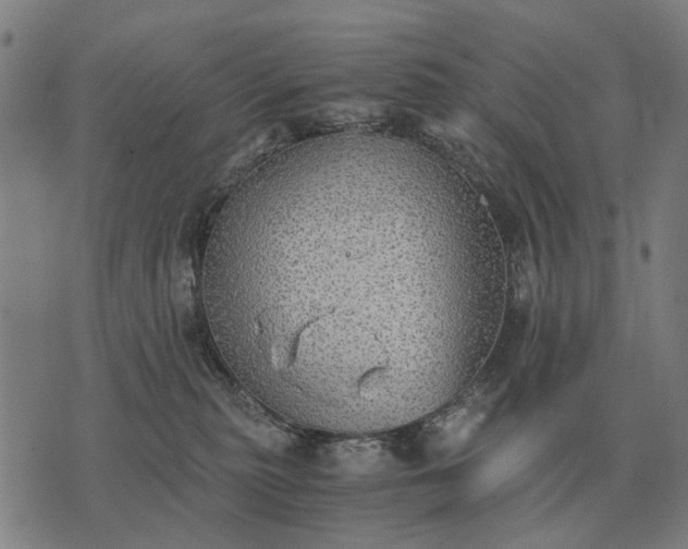 X0000076090279200610061649