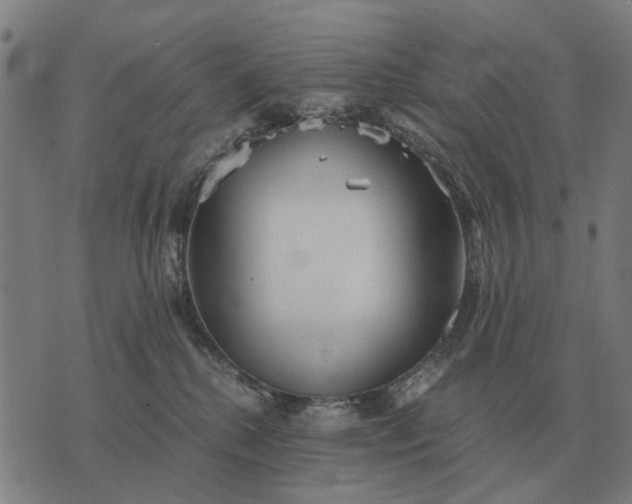 X0000076090280200610061649