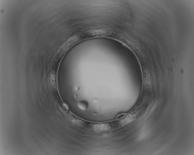 X0000076090281200610061649