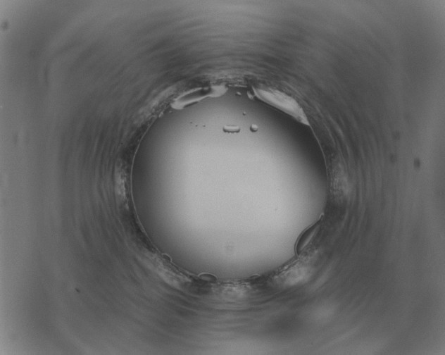 X0000076090282200610061649