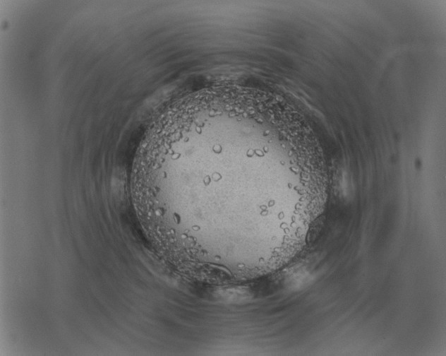 X0000076090283200610061649